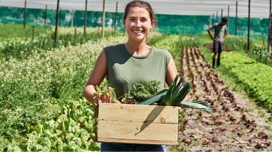 Woman in agricultural field holding a wooden basket filled with vegetables
