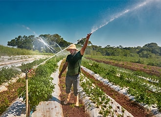 Farmer on his field with sprinklers