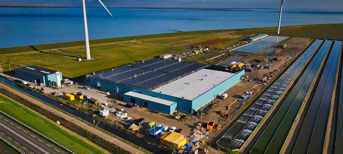 Een foto van het gebouw van kingfish en een deel van de omgeving