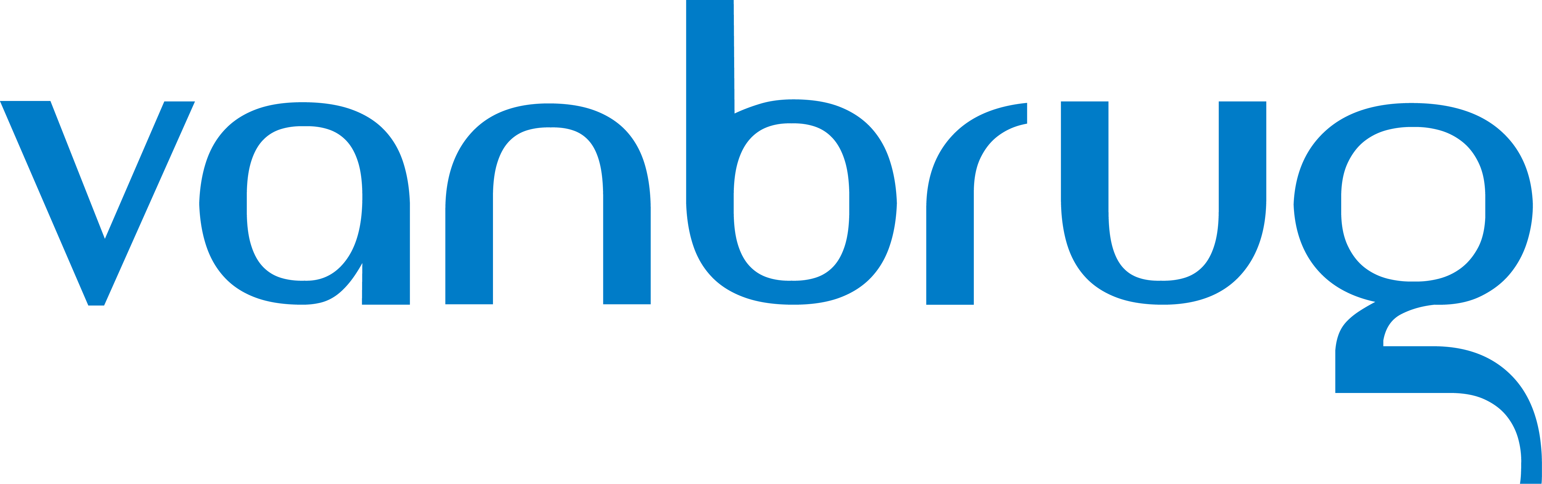 logo van Van Brug Software