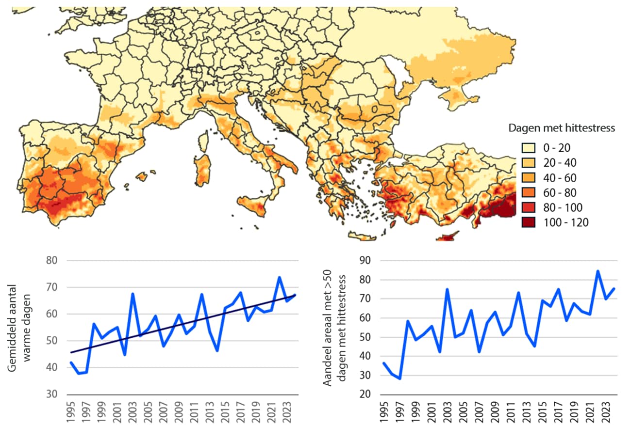 De blootstelling aan hittestress neemt toe in de Europese citrusproducerende regio’s, 1995-2024