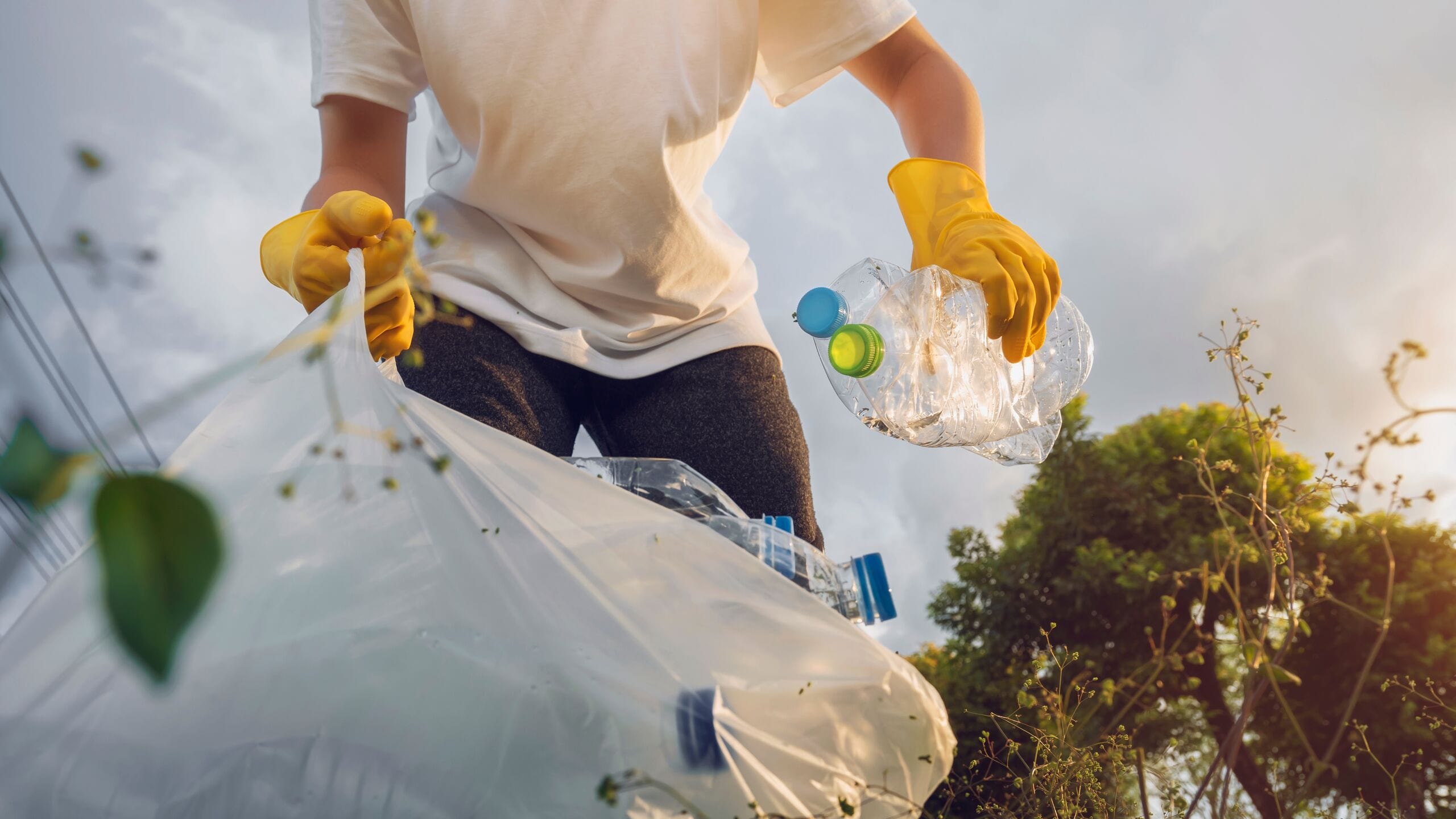 pov you're a plastic bottle waiting to be picked up by a recycling volunteer