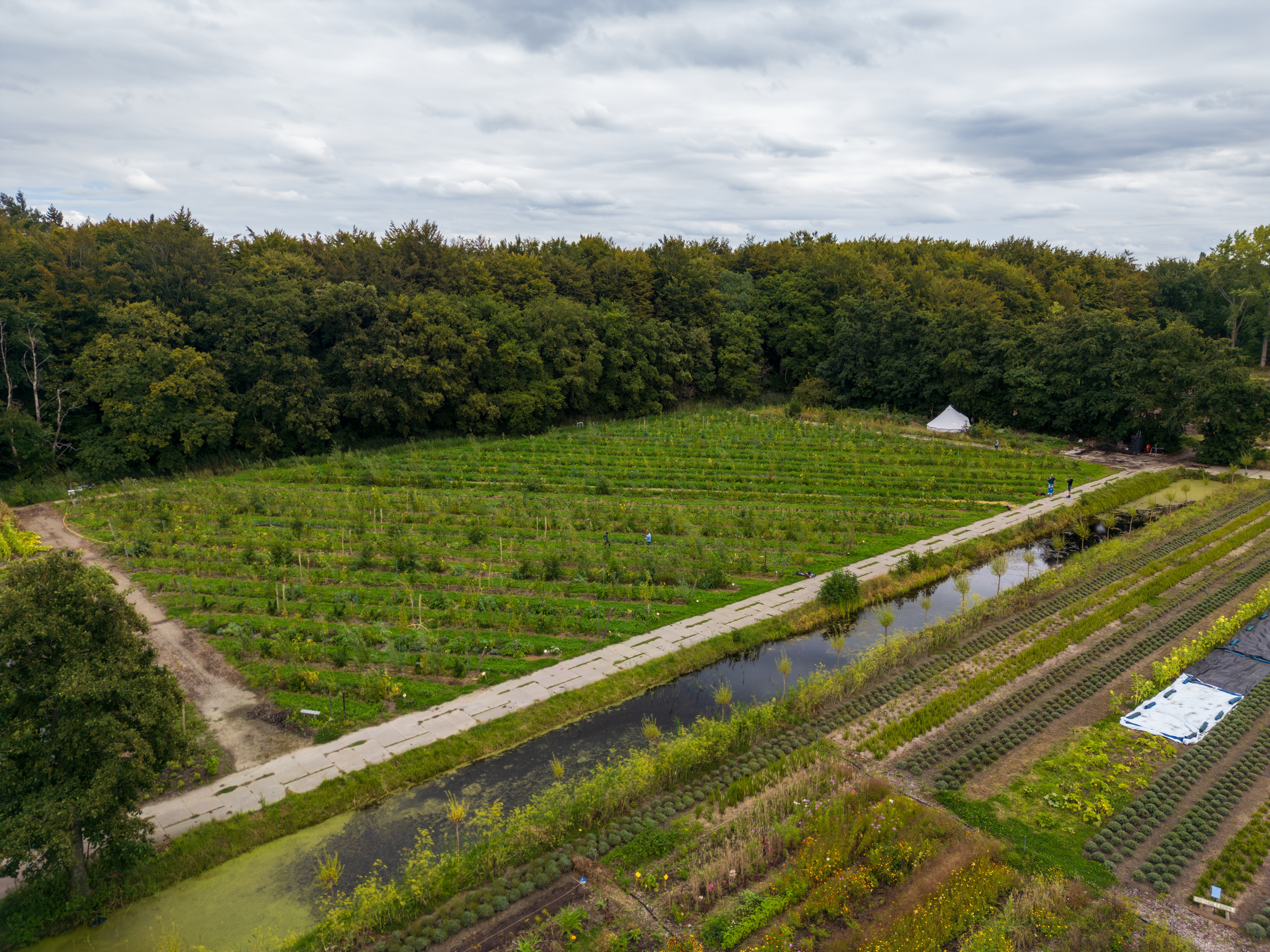 Projectpartner De BosBoerderij