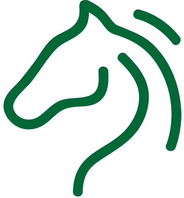 logo van Equi Competition