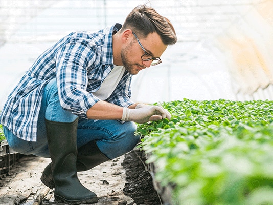 Man in kas - duurzaam sparen - Rabo GroenSparen