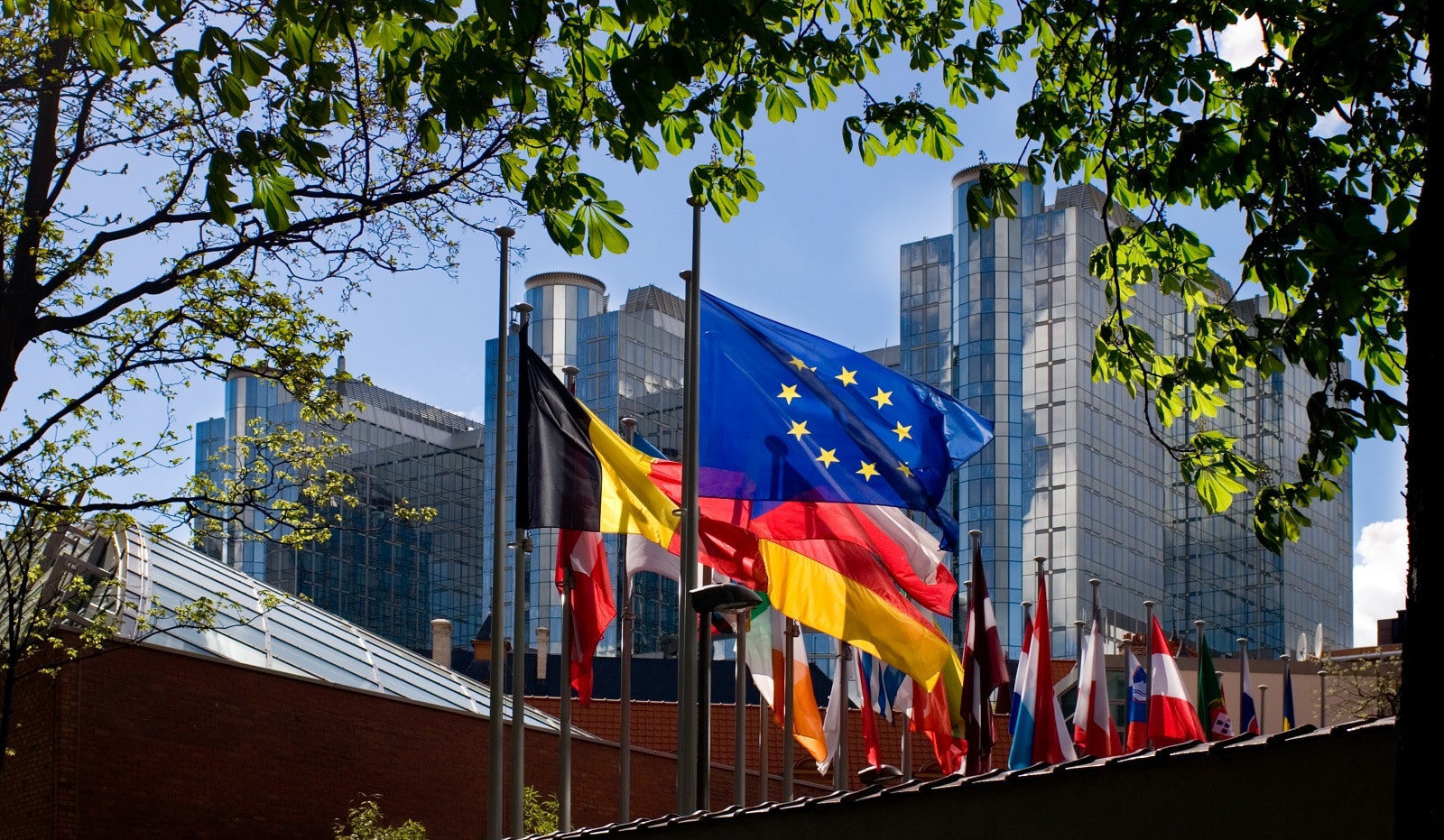 "Blue/yellow European flag, among others,fluttering in front of the European Parliament building in Brussels."