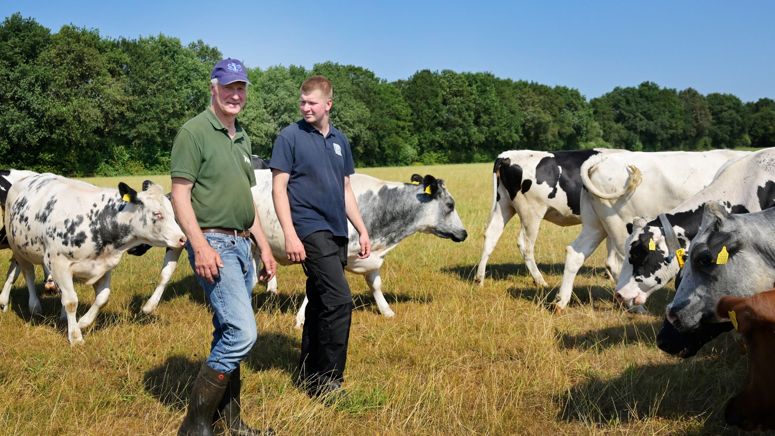 Twee mannen in een weiland met koeien