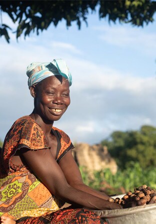 Female farmer in Ghana sorting shea nuts
