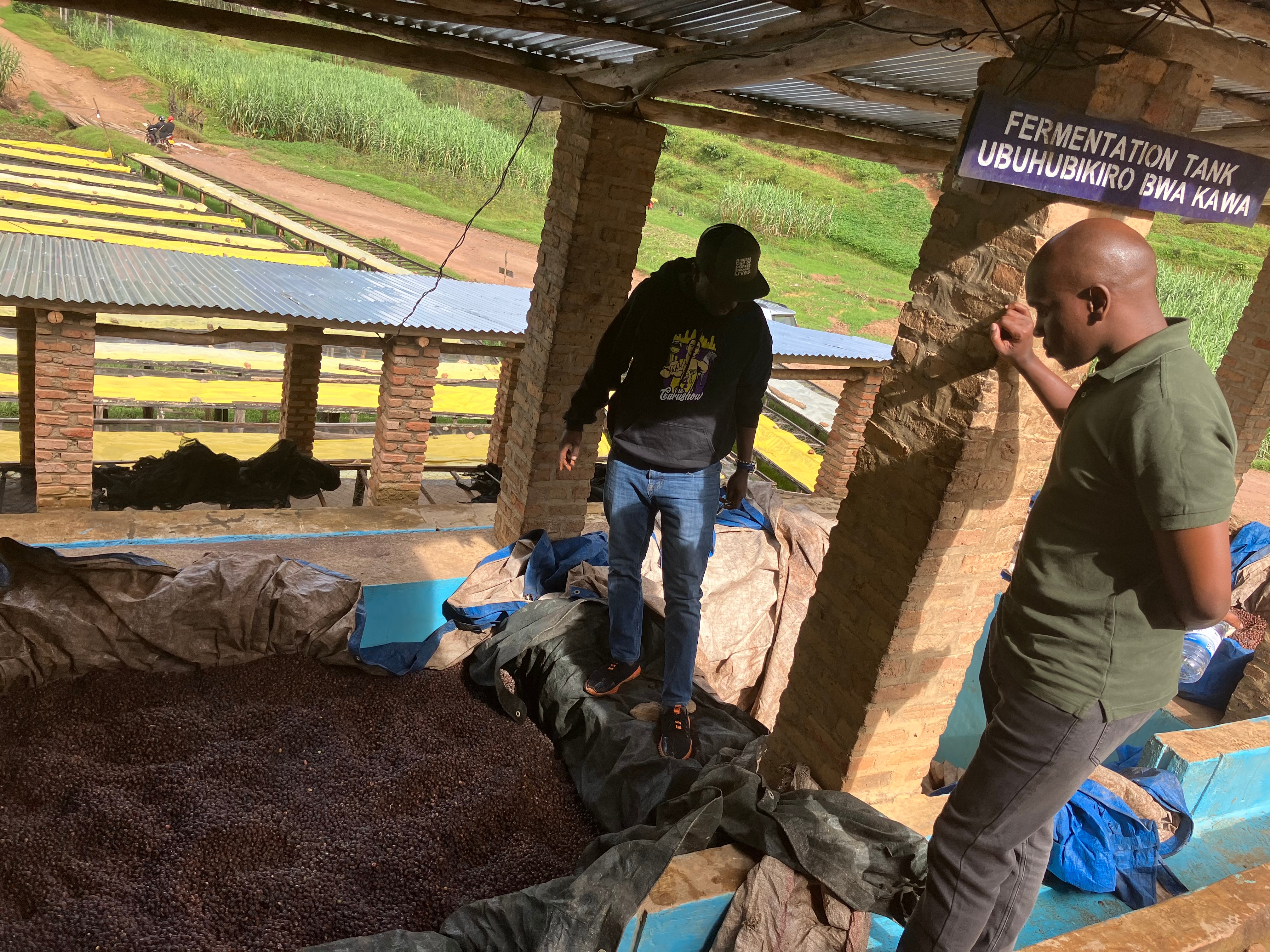 Werkbezoek aan koffieboeren in Rwanda