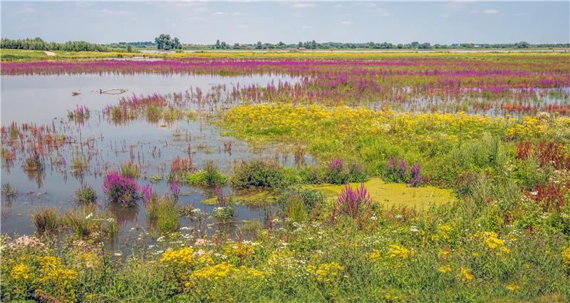 Nature policy Rabobank Group