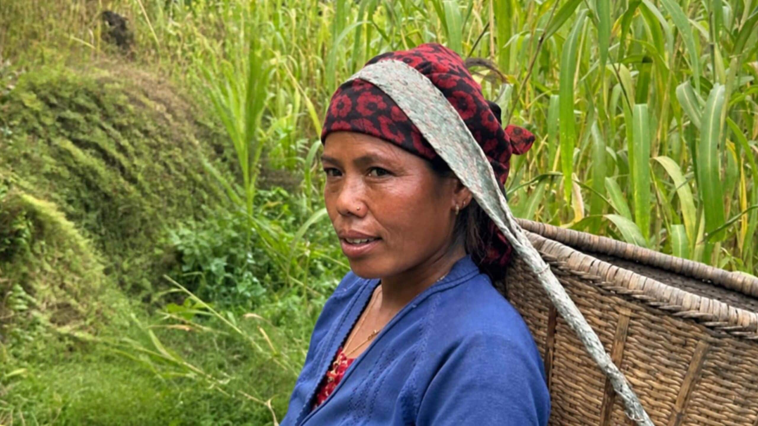 Smalholder farmer in field in Nepal