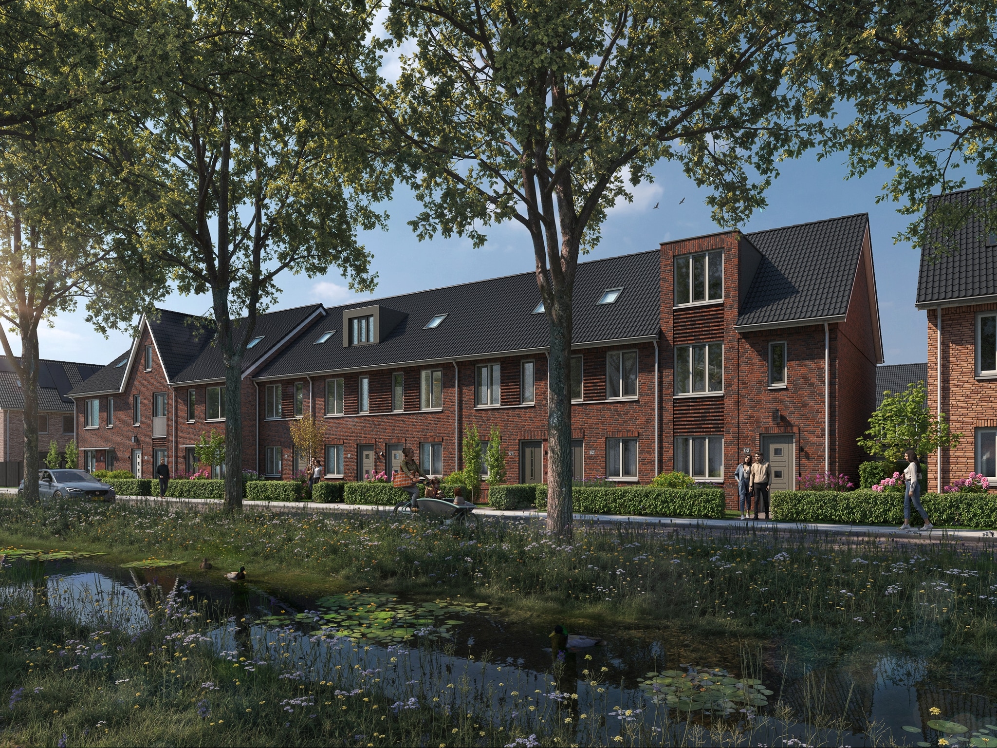 Buitenhof, Tholen