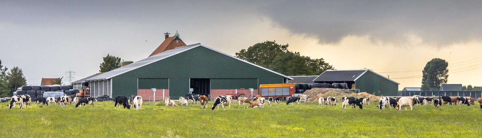 Rabobank
