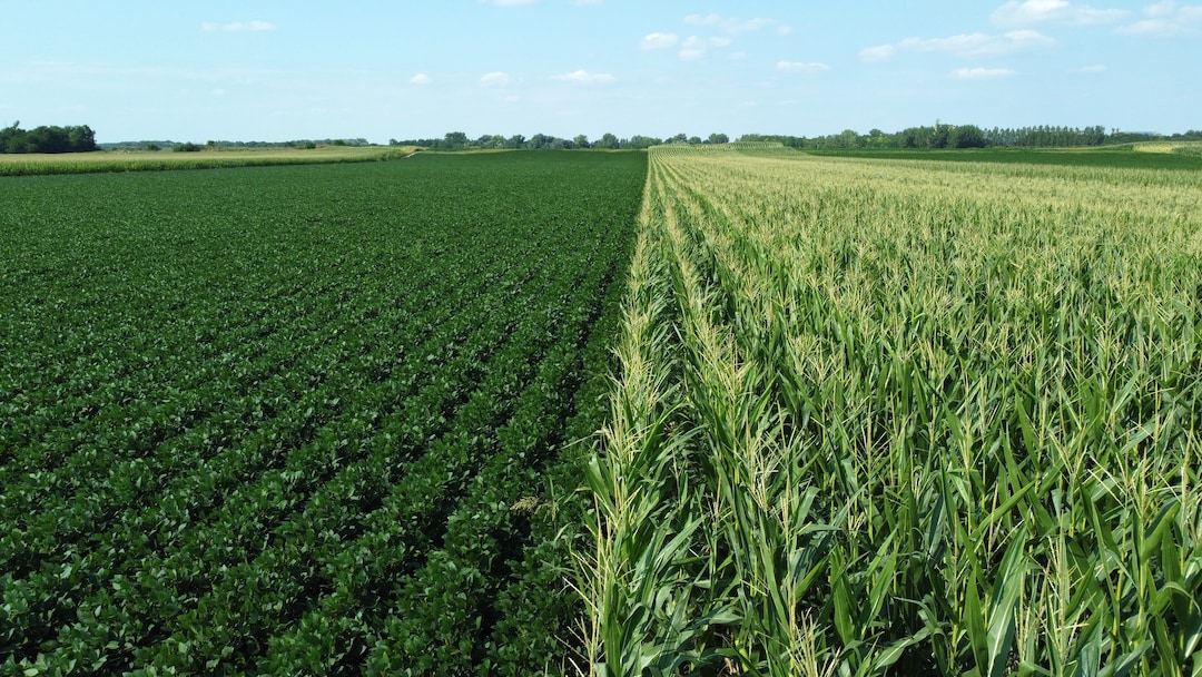 More acres in a world of lower prices: 2026 US grain & oilseed baseline ...
