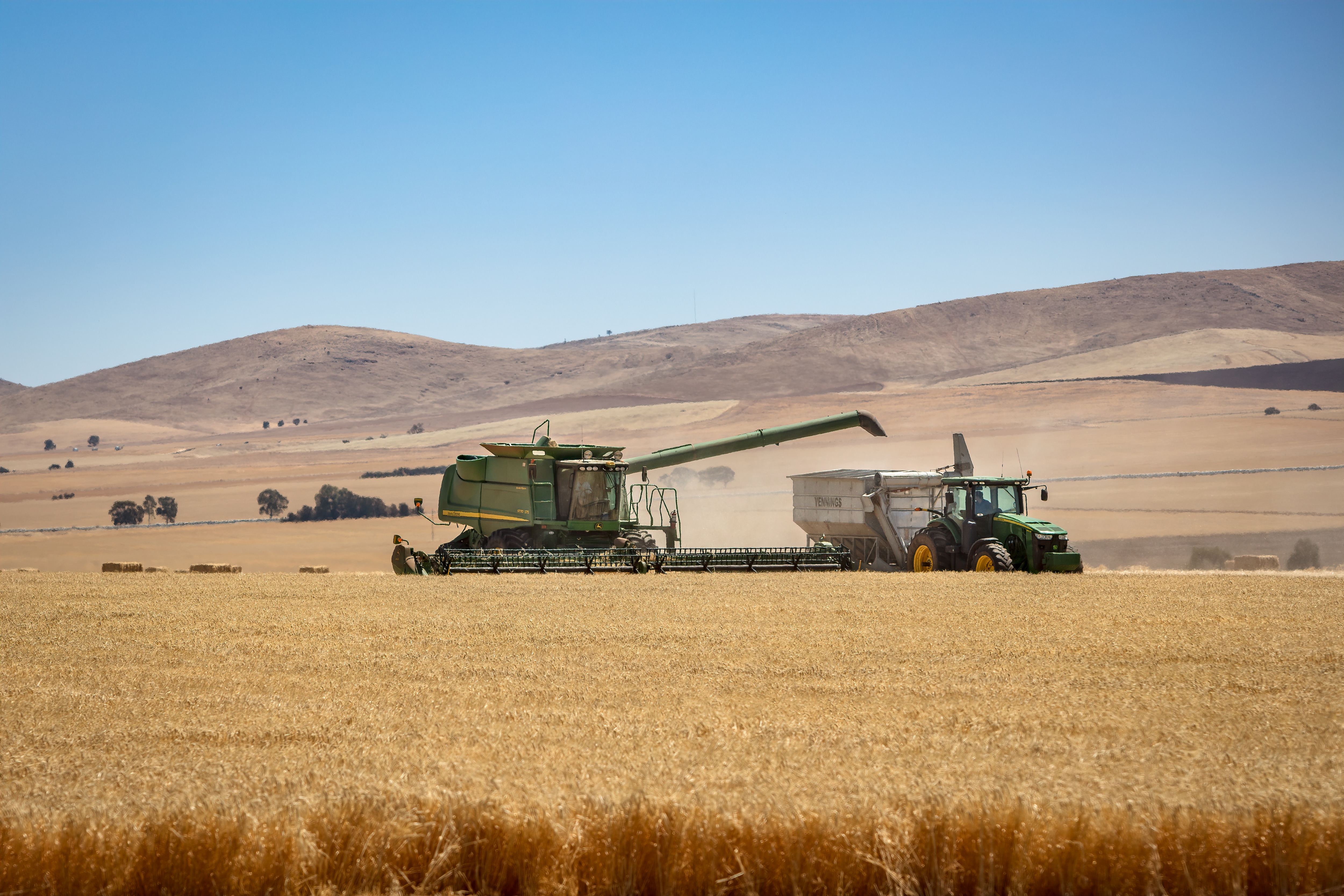 Australian 2024/25 winter crop forecast Production and prices Rabobank